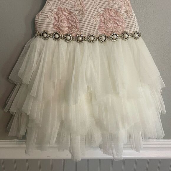 NWT American Princess White Pink Floral Tulle Baby Toddler Dress Size 24 Months - Picture 5 of 9